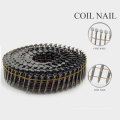 Factory Supply Roofing Nail Factory de Chine